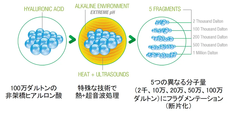 バイオリジェンの特徴や効果の画像1
