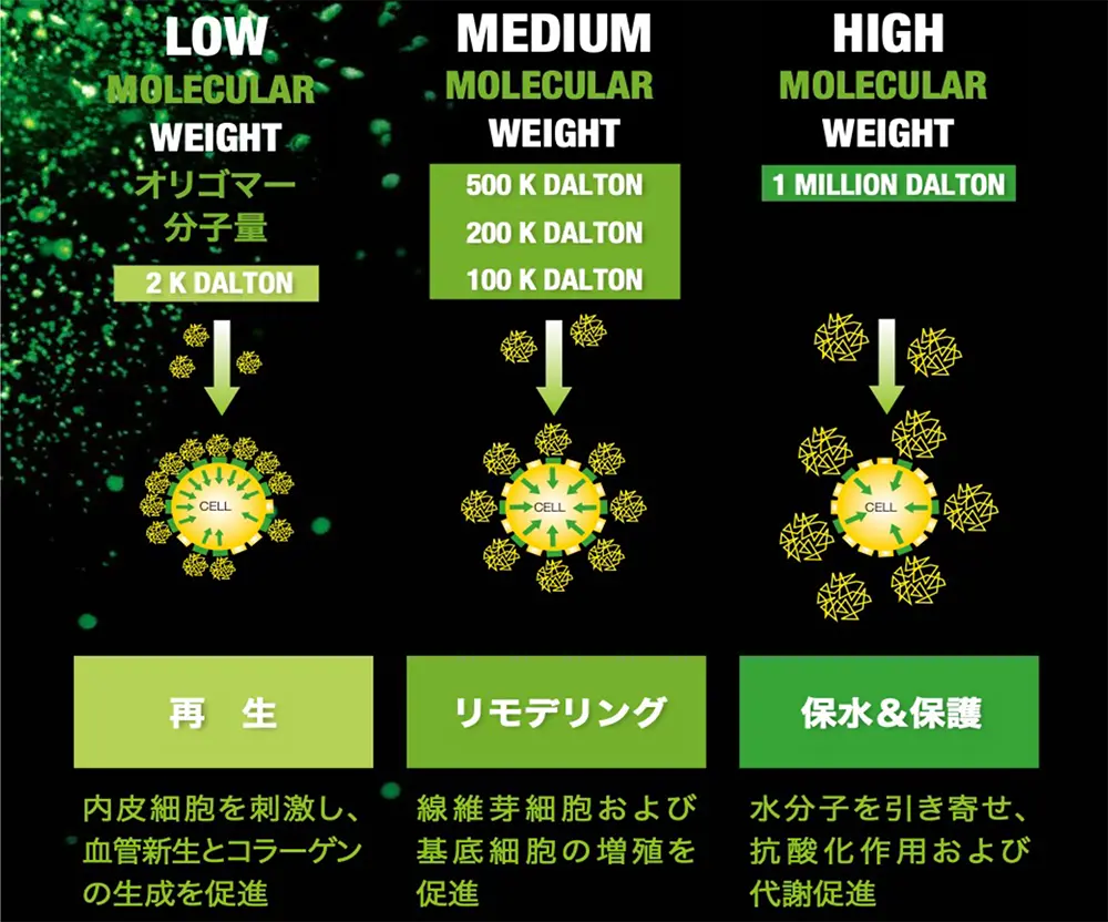 バイオリジェンの特徴や効果の画像2