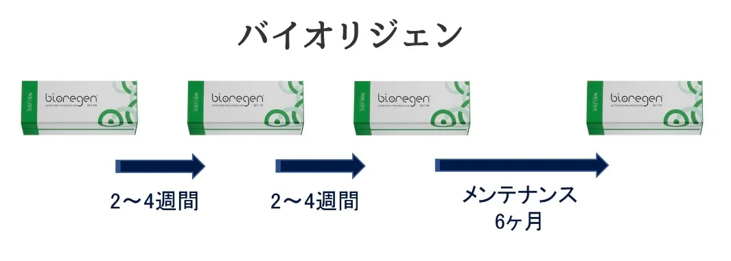 バイオリジェン治療の間隔