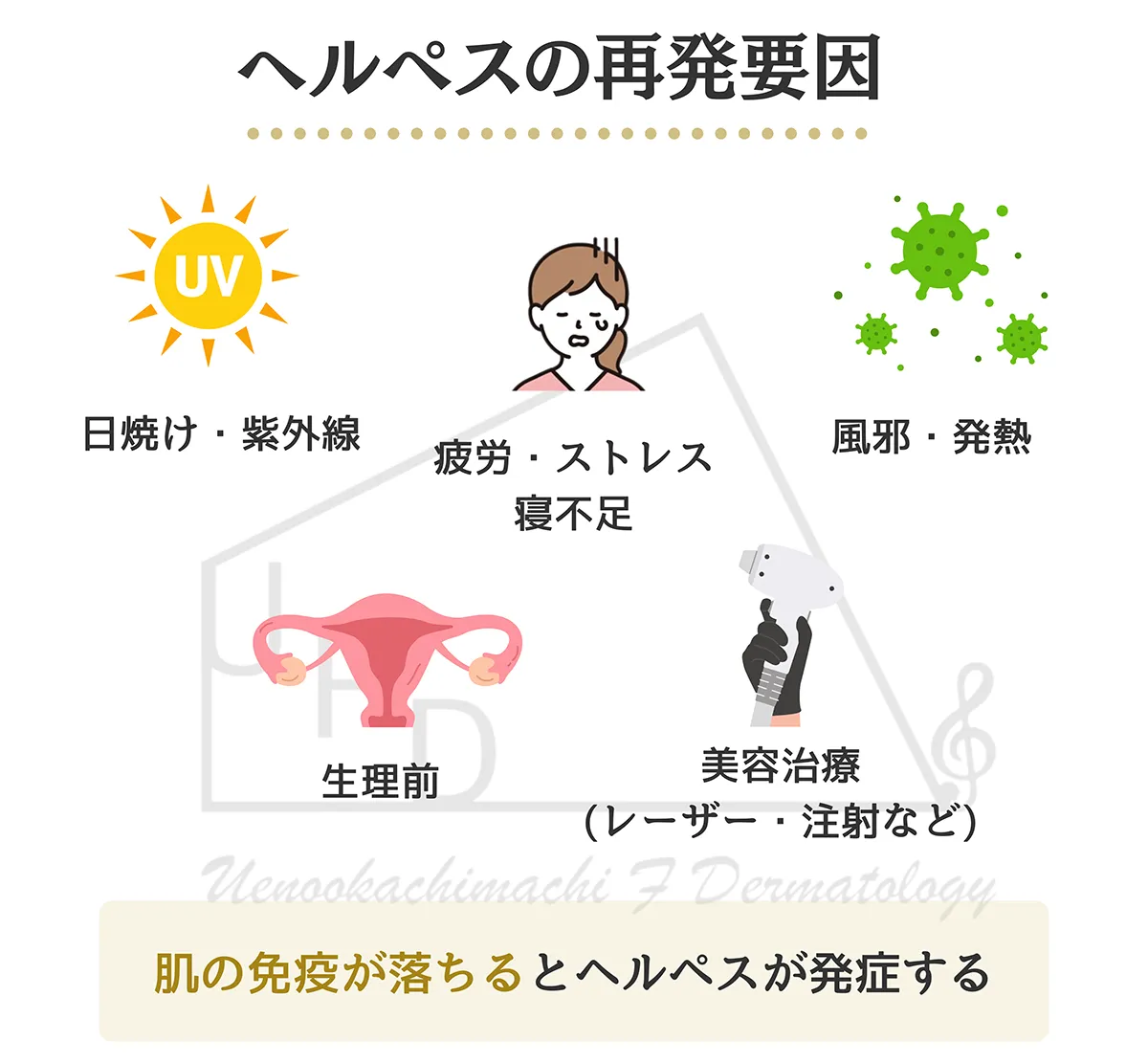 ヘルペスの再発要因